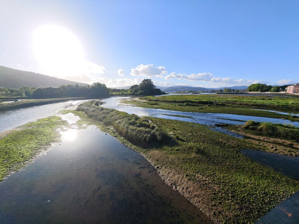 Vista de uma ponte sobre canais de maré e baixios verdes, com o sol refletido numa poça na maré baixa
