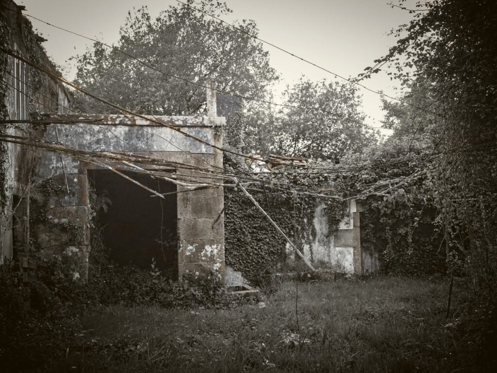 Construções de granito abandonadas e cobertas de hera, com fios e postes caídos sobre um pátio tomado pela erva
