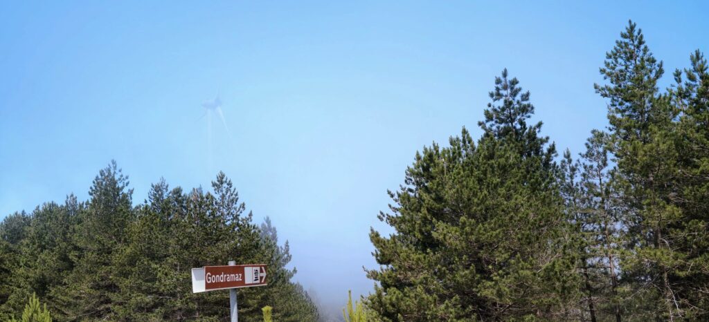 Placa castanha de Gondramaz à frente de pinheiros, com um aerogerador quase invisível no nevoeiro