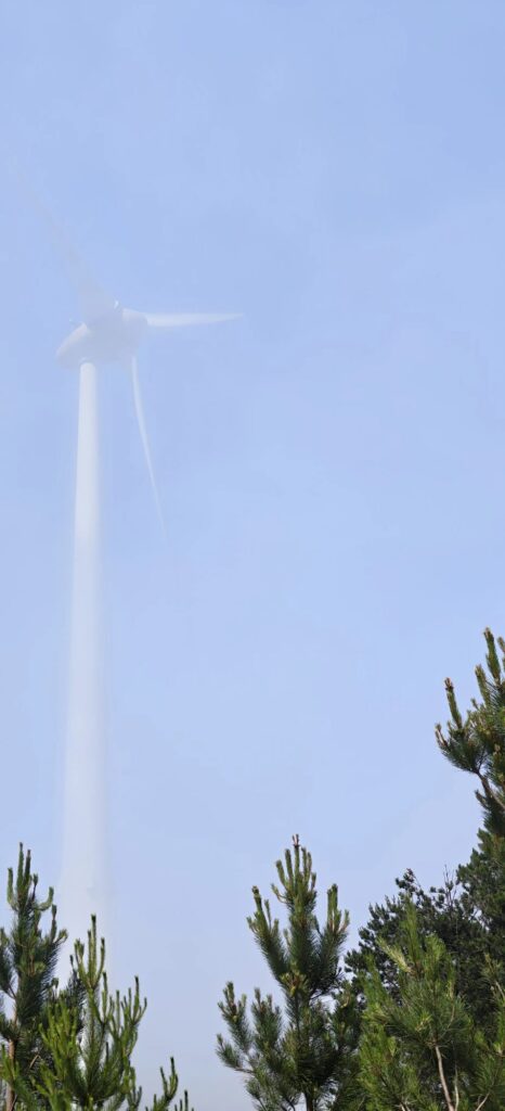 Aerogerador a desaparecer num nevoeiro azul-pálido por cima de pinheiros na Serra da Lousã