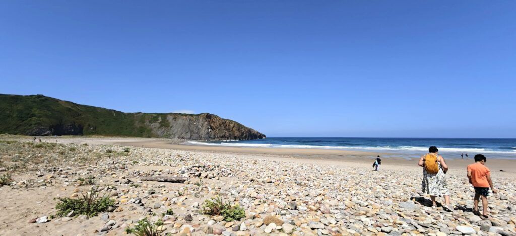 Parte alta de la playa cubierta de cantos rodados con plantas, una familia caminando hacia la arena y un acantilado verde cerrando la ensenada